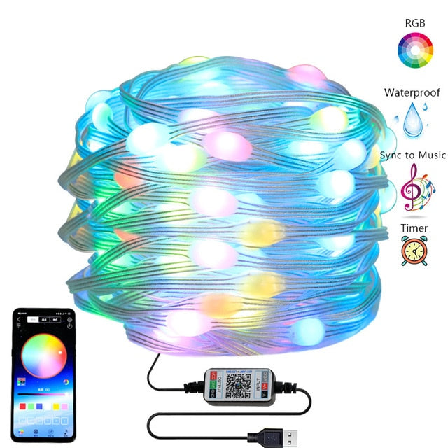 Smart LED Christmas Decoration Lights