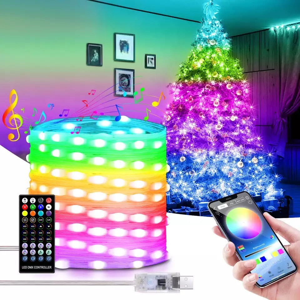 Smart LED Christmas Decoration Lights